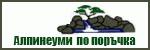 Алпинеуми # 3410