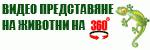 g360.zoohobi.com #