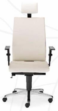Директорски стол INTRATA M-22 HR