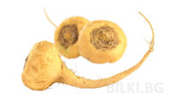 МАКА /КОРЕН/ МЛЯН 50ГР