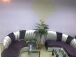 Designer-Sofa