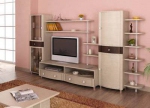 холна секция 541-2619