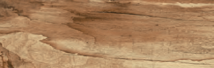 Плочка за баня WOOD MATT 20х60